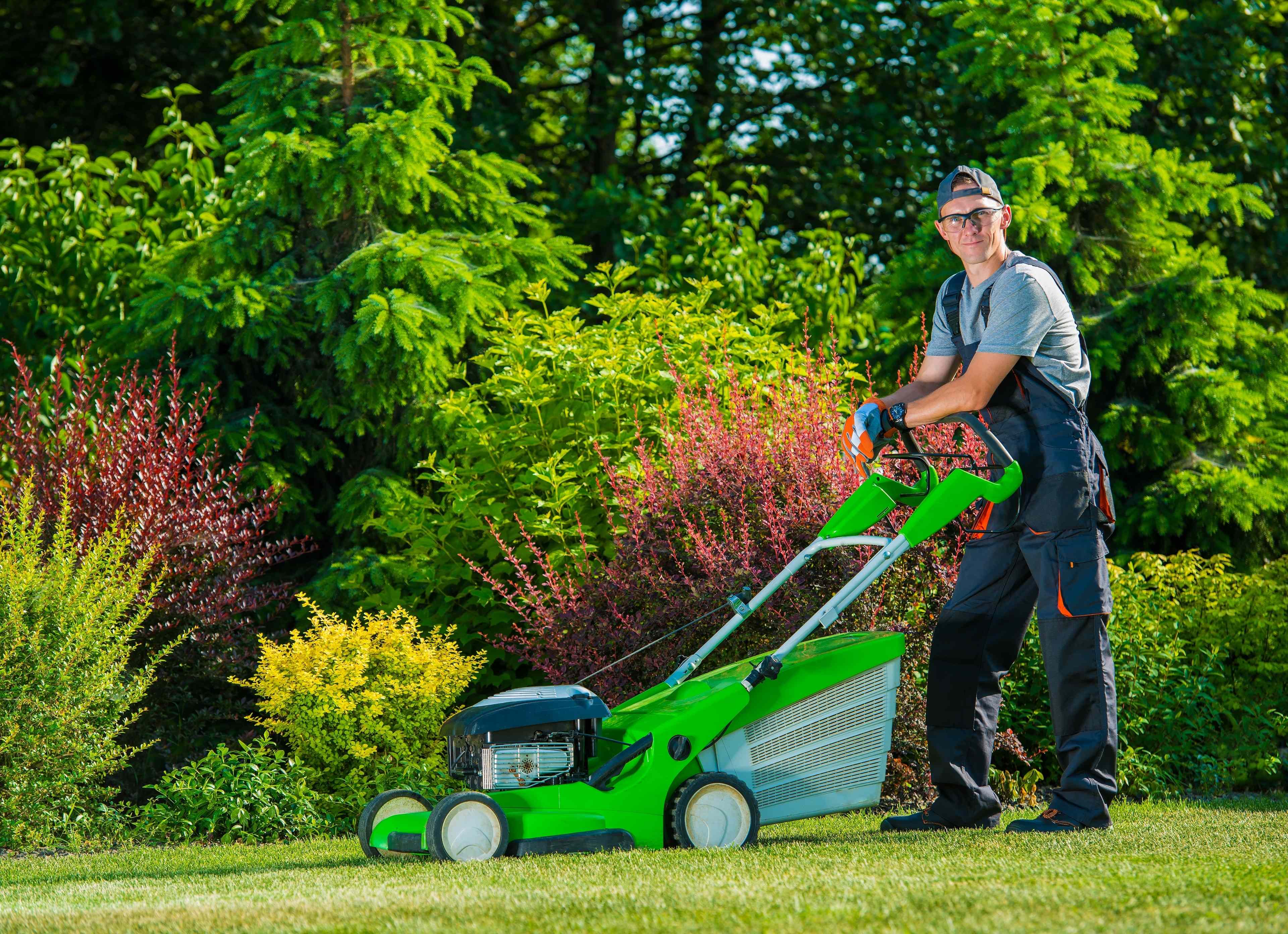 How Do You Aerate A Lawn?