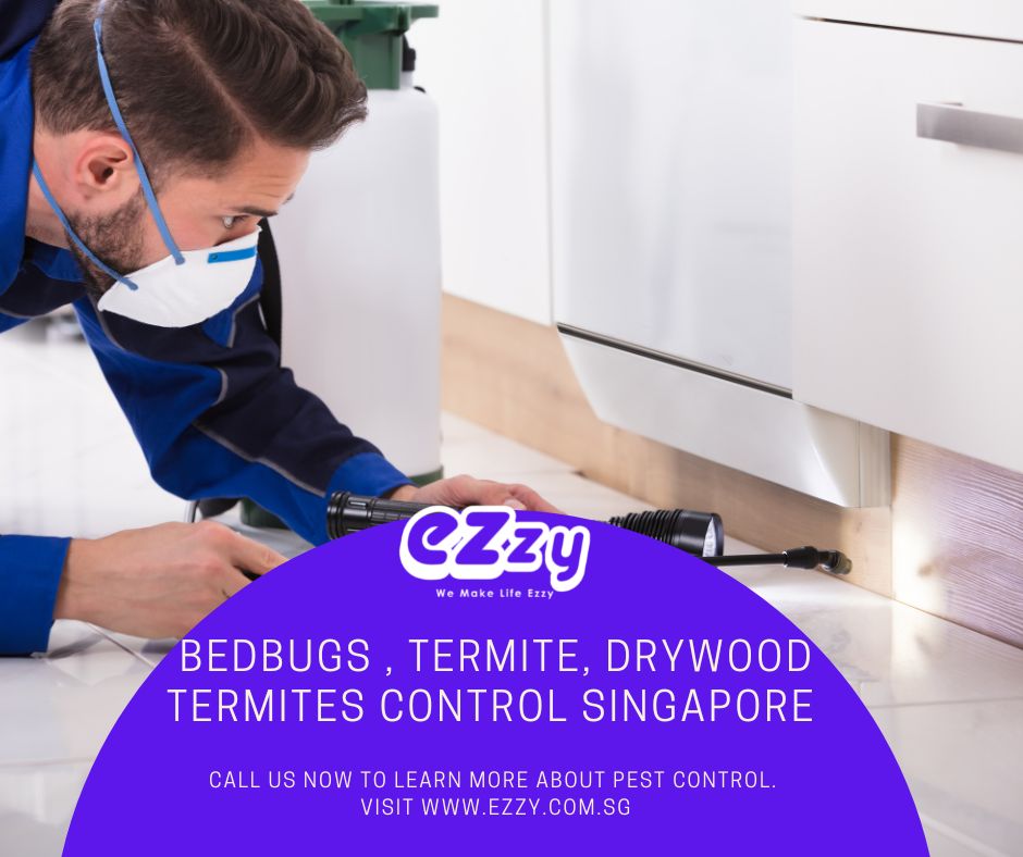 Bed Bugs Control & Removal Services in Singapore