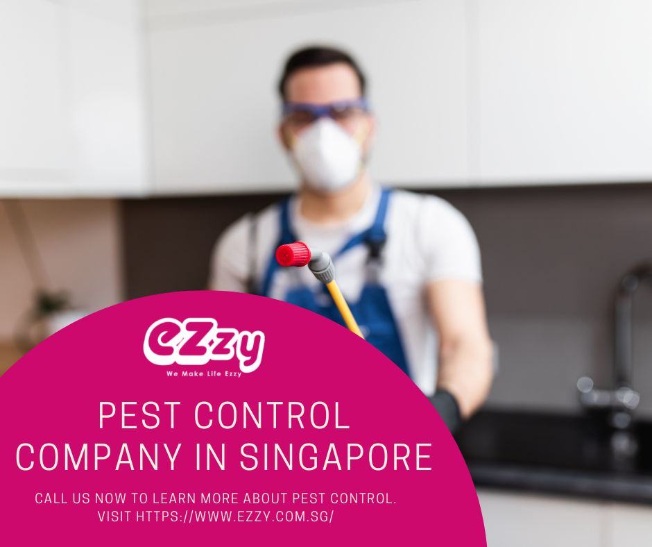 Pest Control & Pest Management Company Singapore | Ezzy Pest Management Services