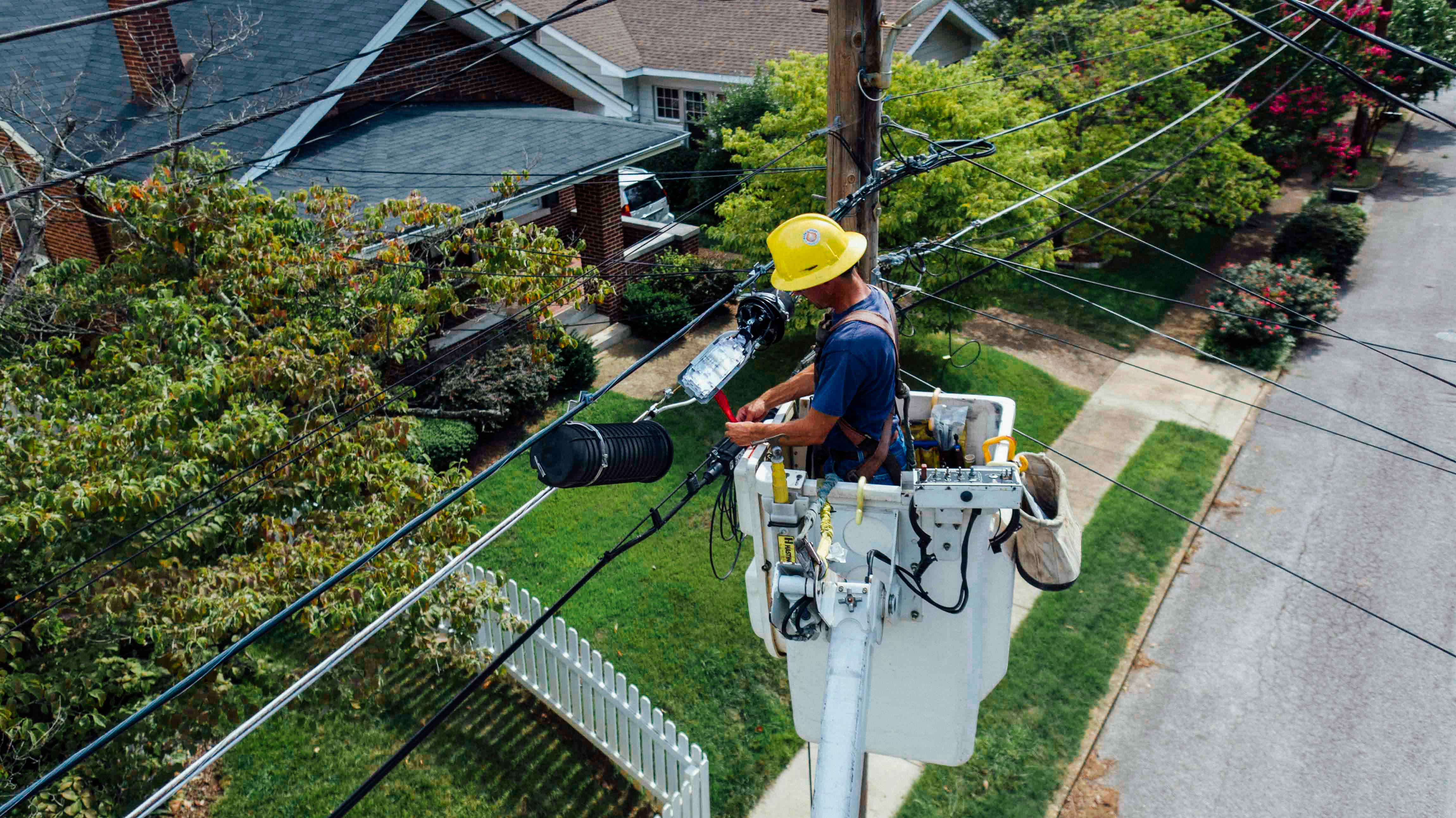 Top 11 Reasons You Might Need Tree Services in Montgomery