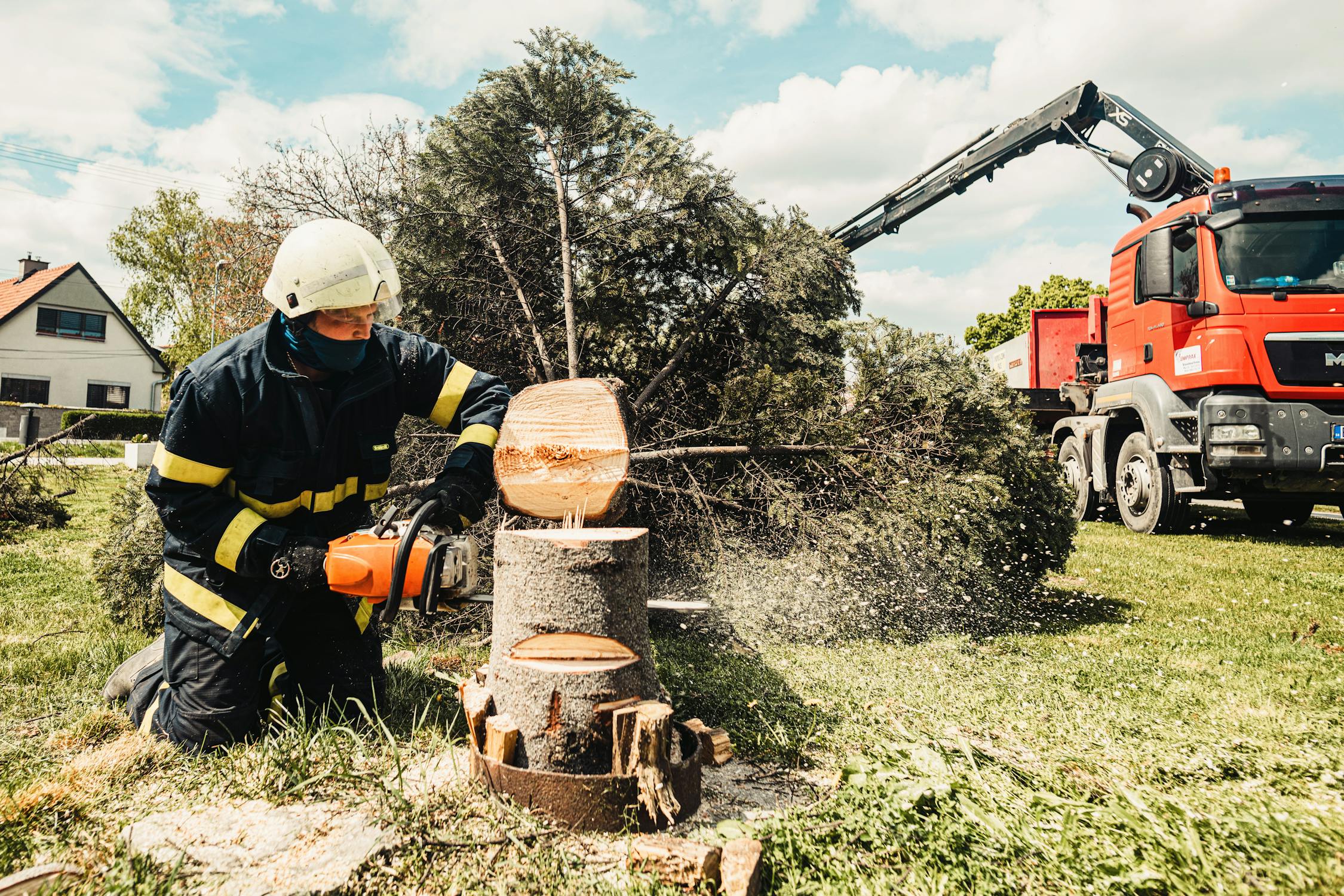 How to Prepare Your Property for Tree Removal in Montgomery