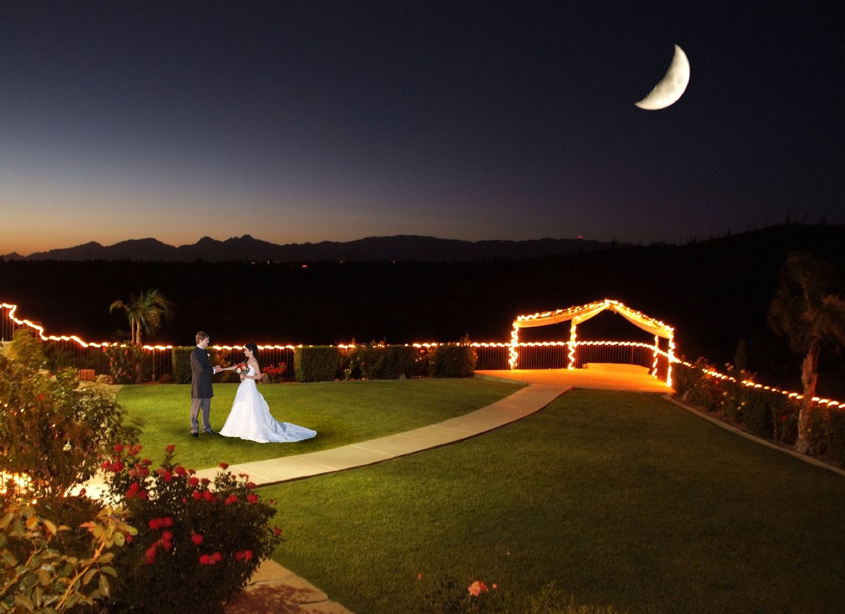 Find the Best Wedding planner Near California