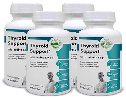 Understanding Thyroid Function