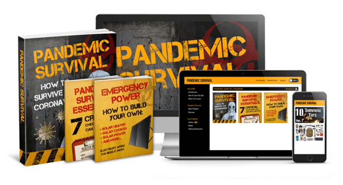 Pandemic Survival