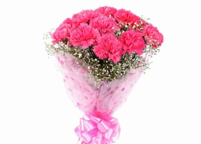 Pretty Pink Carnation Bunch