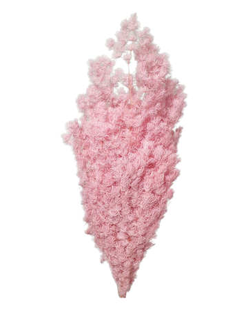 Add Beautiful Preserved Flowers to Your Home