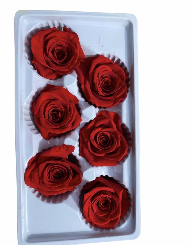 Decorate your Home with Beautiful Preserved Flowers