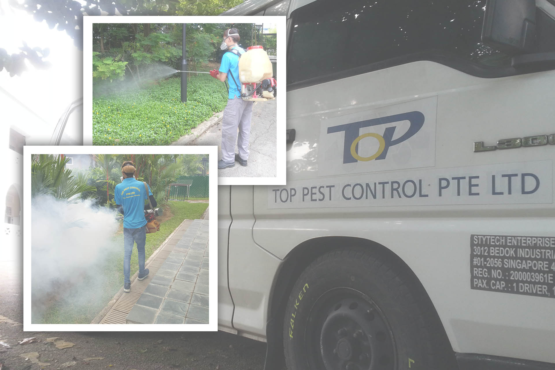 7 Inquiry to Pose While Employing Pest Control Administrations