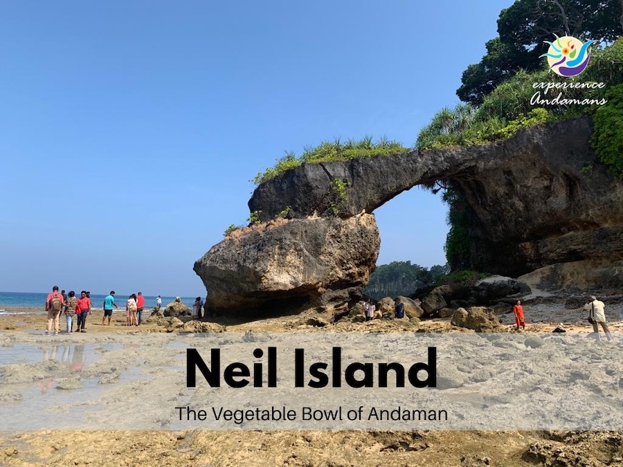 Neil Island Andaman Islands