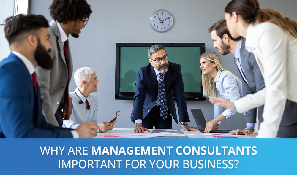 Why Are Management Consultants Important for Your Business?