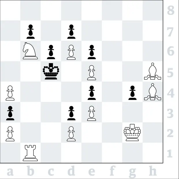 Magnus Carlsen : Chess Player