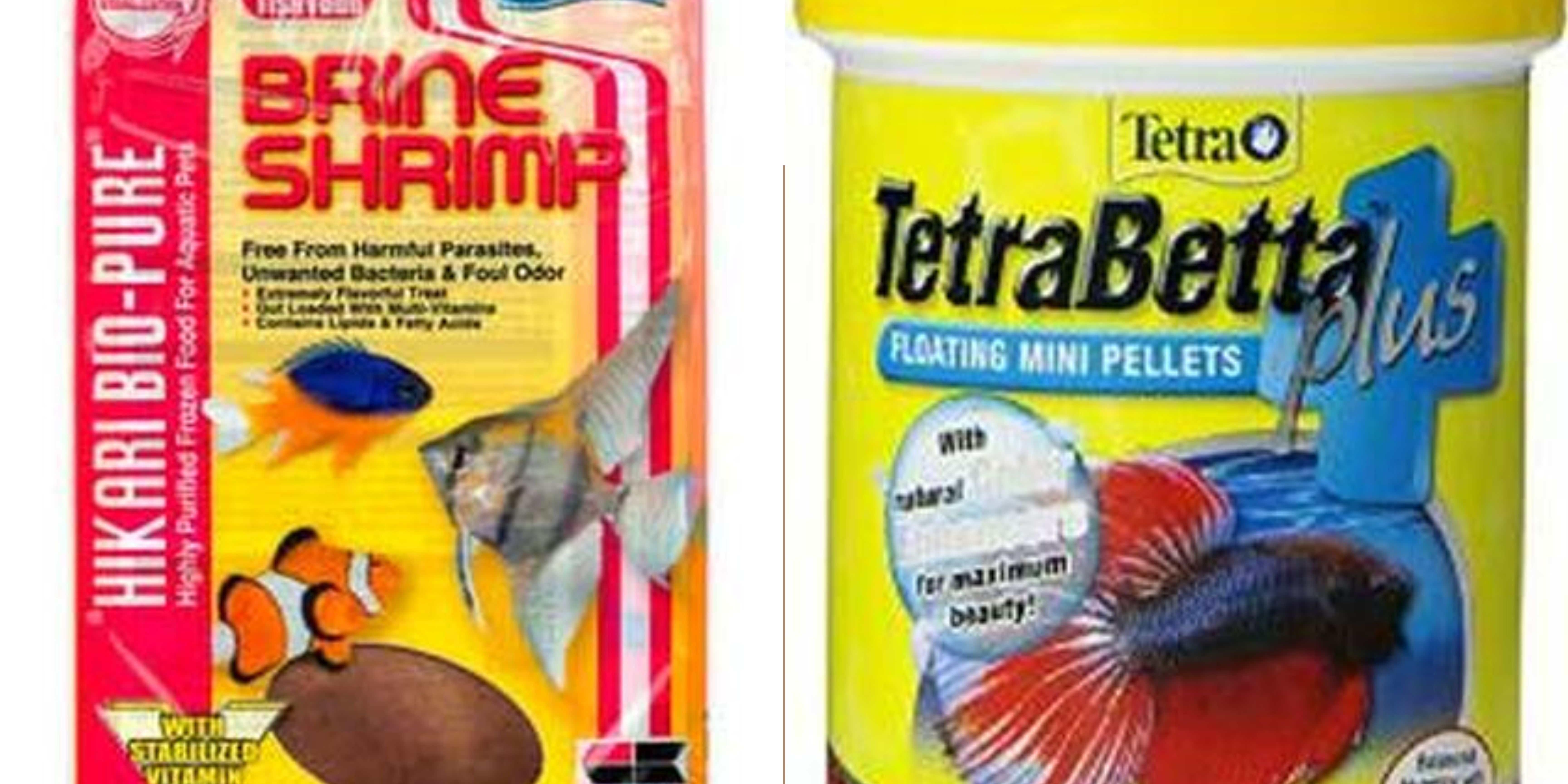Buy Aquarium Food Frozen Bloodworms- Order Today