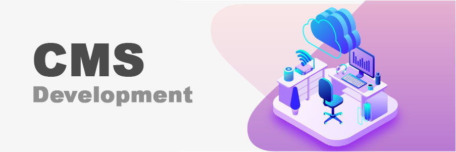 CMS Web Development Services