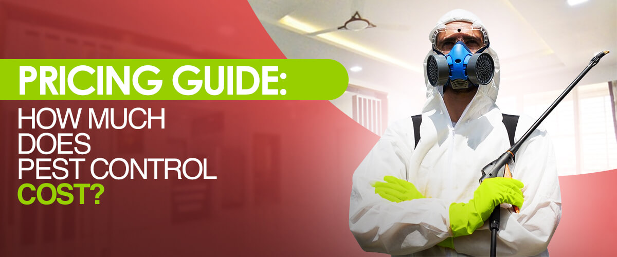 Pest Control in Bangalore