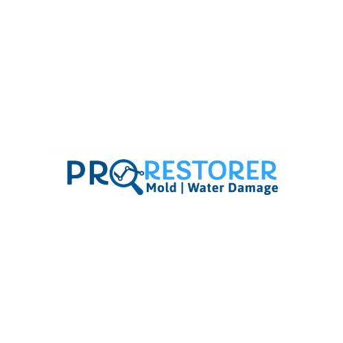 DC Mold Inspection & Removal - Pro Restorer