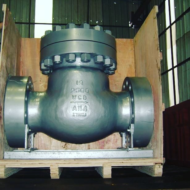 Check Valve Manufacturer in USA