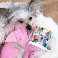 Custom Pet Art Poster