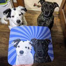 Custom Pet Art Framed Canvas Wraps