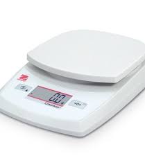 Digital Bench Scale
