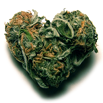 Can you buy weed online