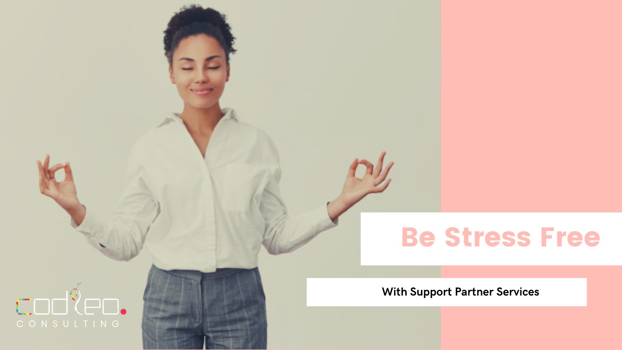 TOP 6 REASONS WHY ONE NEEDS A SALESFORCE SUPPORT SERVICES 