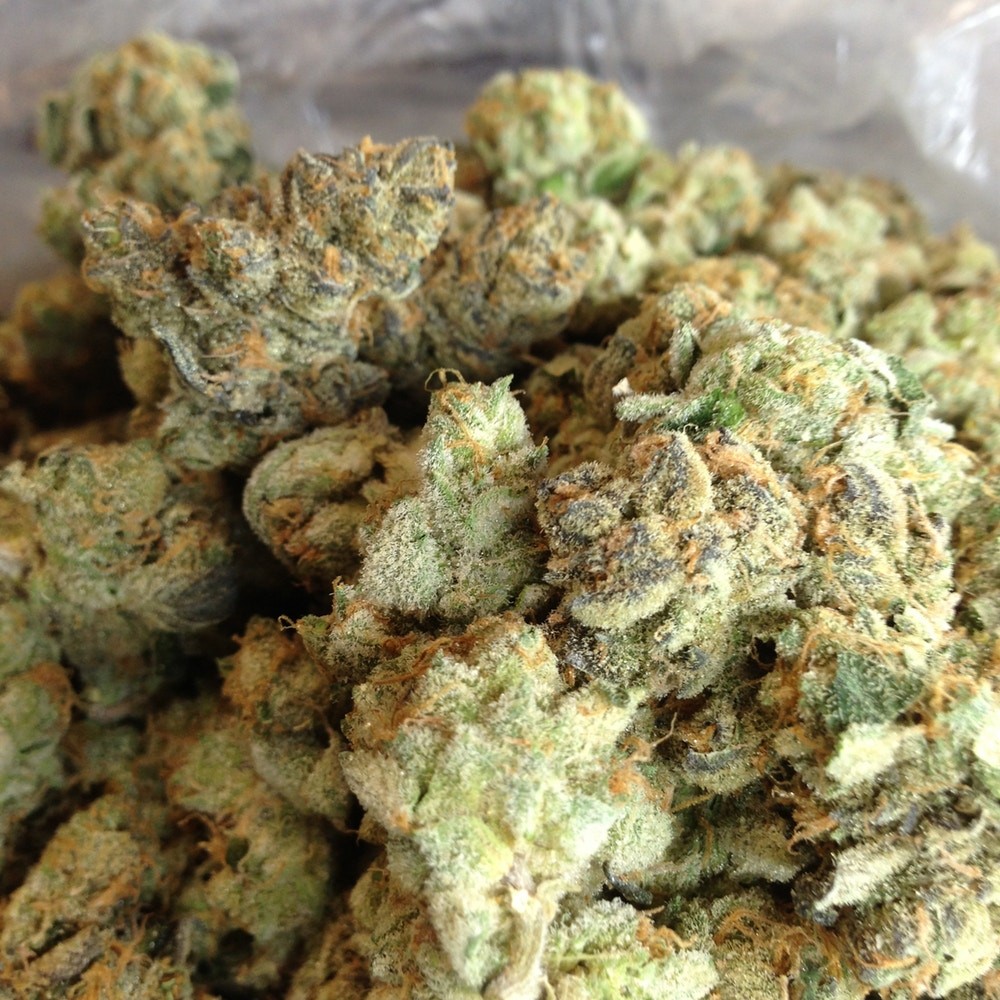 Buy buds online in Australia