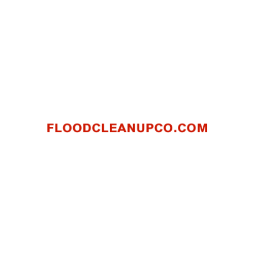 Queens Water damage