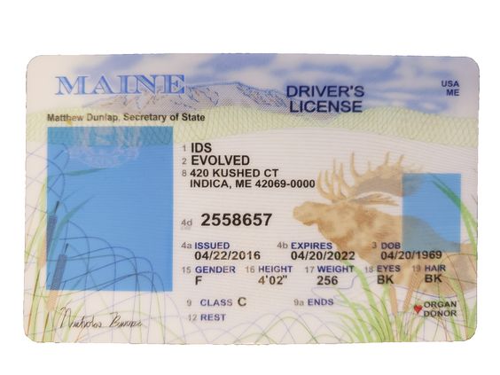 Fake License