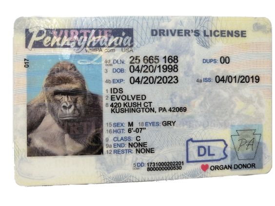 Fake ID | Good Fake ID | Scannable Fake ID | Real Fake ID