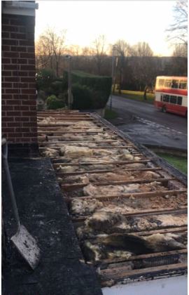 Eco-Roofing & Building