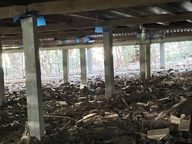 Would you consider restumping your home?