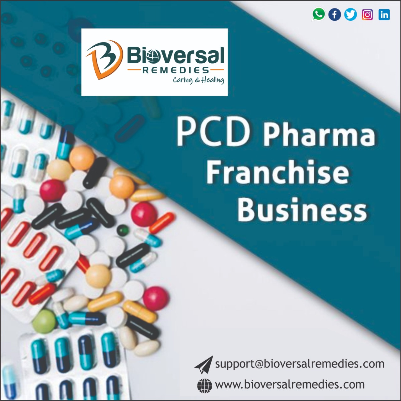 Pharma Franchise Companies				