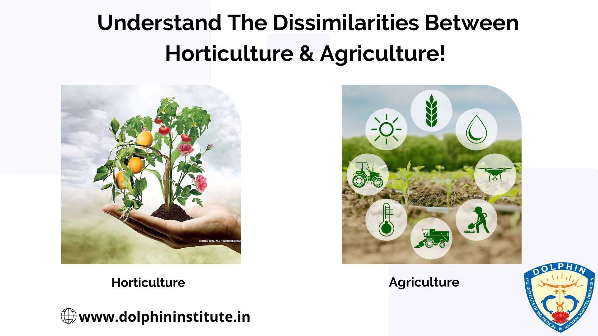 Understand The Dissimilarities Between Horticulture & Agriculture! 