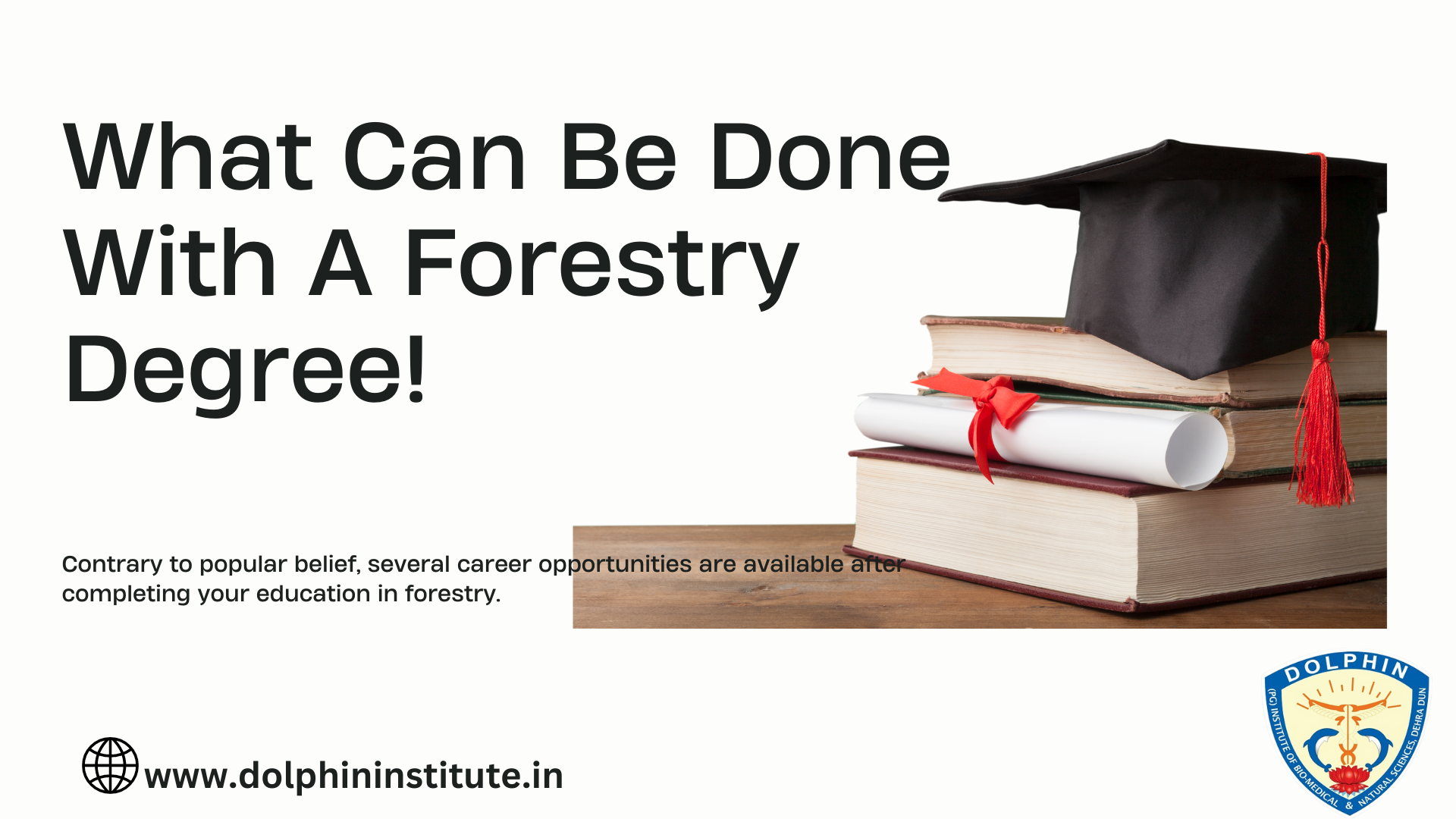 What Can Be Done With A Forestry Degree!