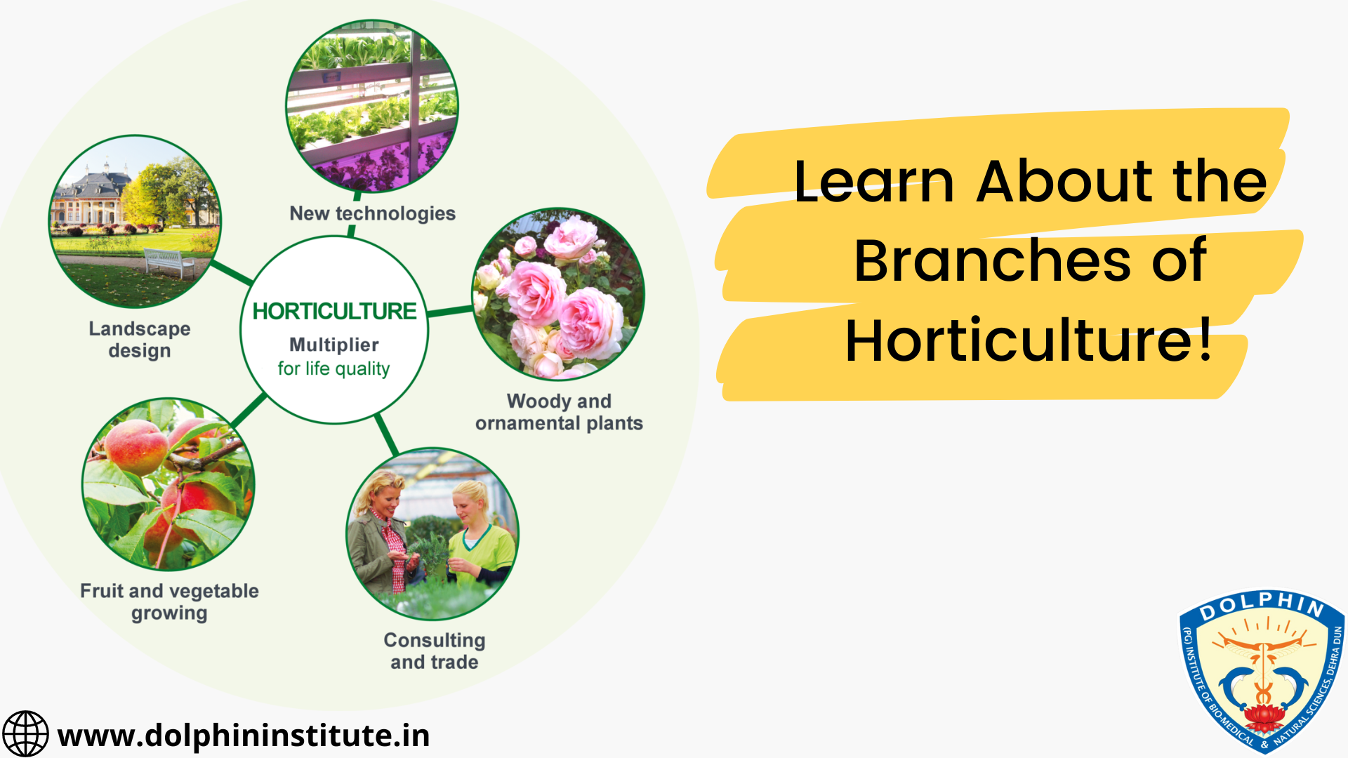 Learn About the Branches of Horticulture