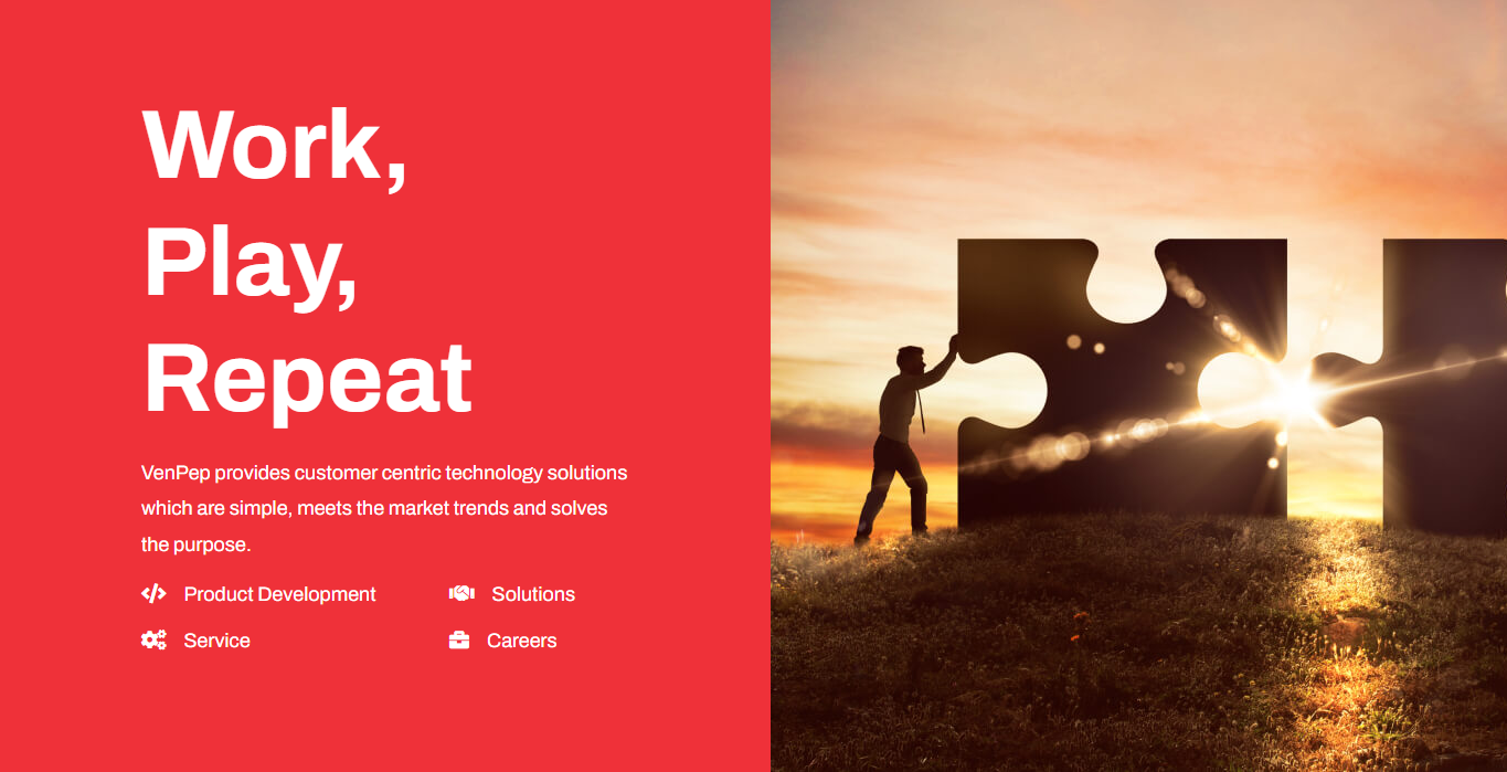 Software Development and IT Solutions Company