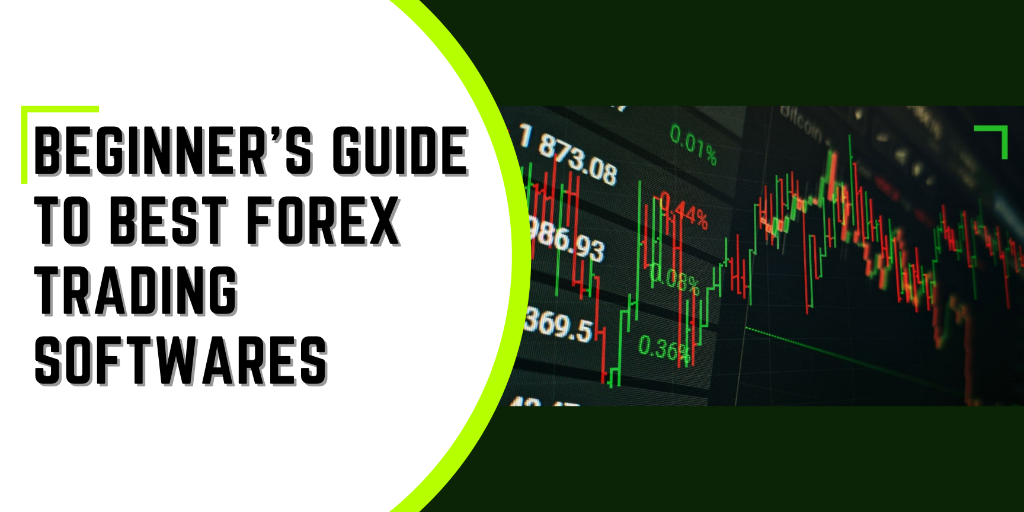 Beginner’s Guide to Best Forex Trading Softwares