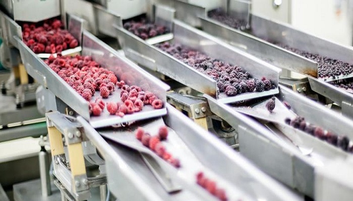 Food Processing and Handling Equipment Market Share, SWOT Analysis, Impact of Economic and Policy Aspects