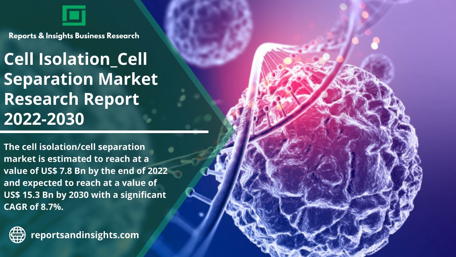 Report Insights On Cell Isolation/Cell Separation Market: Country Specific Insights by Manufacturers, Sales, Trends, Share, Top Key Players Demand, Industry Demand, Consumers Demand, Type and Application, Forecast to 2030 |