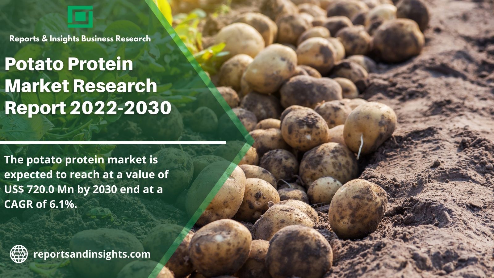 Potato Protein Market with Size, Top Players with Share, Total Revenues, Product Scope, Business Development and Opportunities till 2030; 