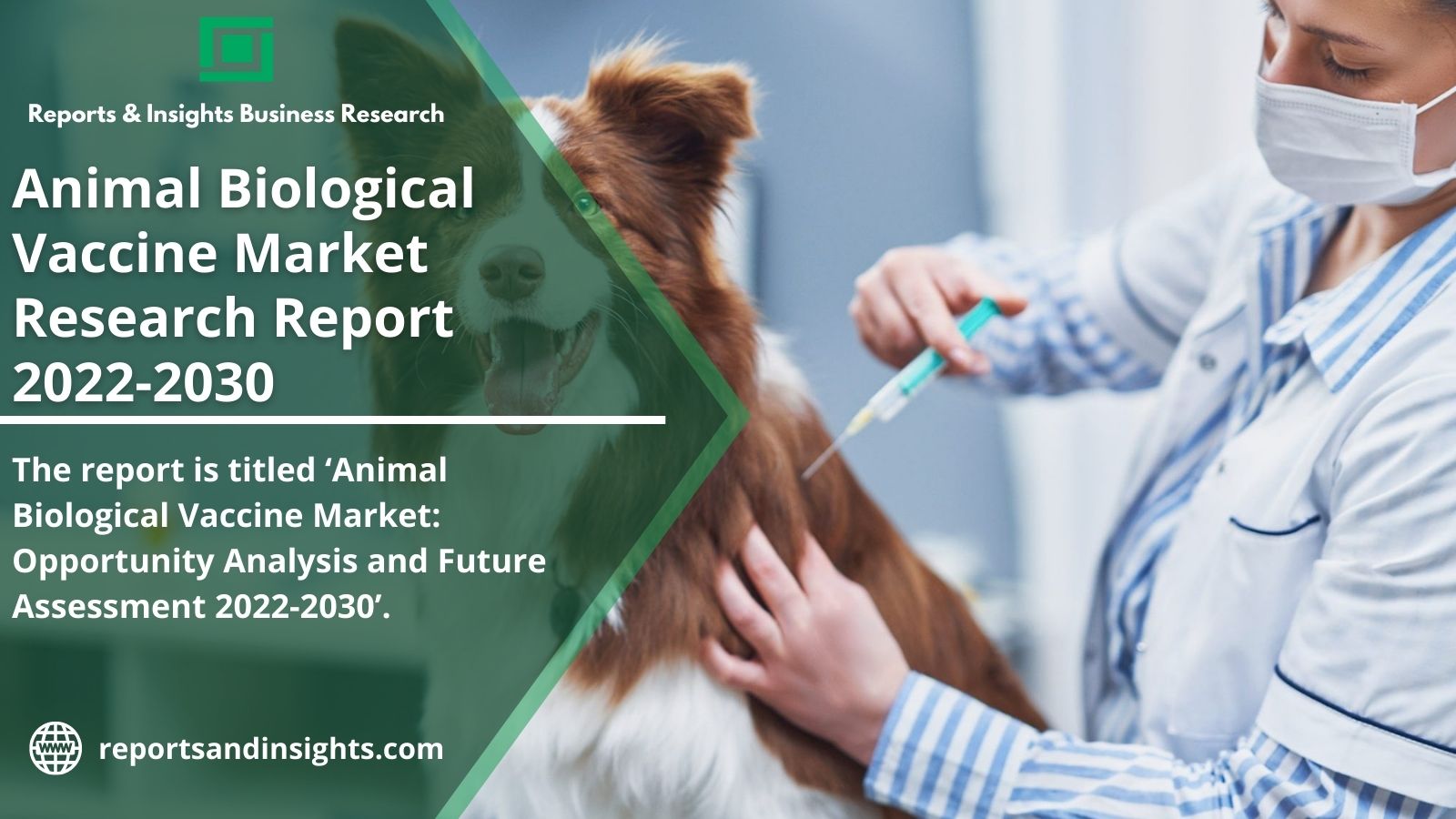 Animal Biological Vaccine Market to Witness Huge Growth, Manufacturing Demand, Analysis by 2030 | Research Report & Research Analysis by Reports and Insights.