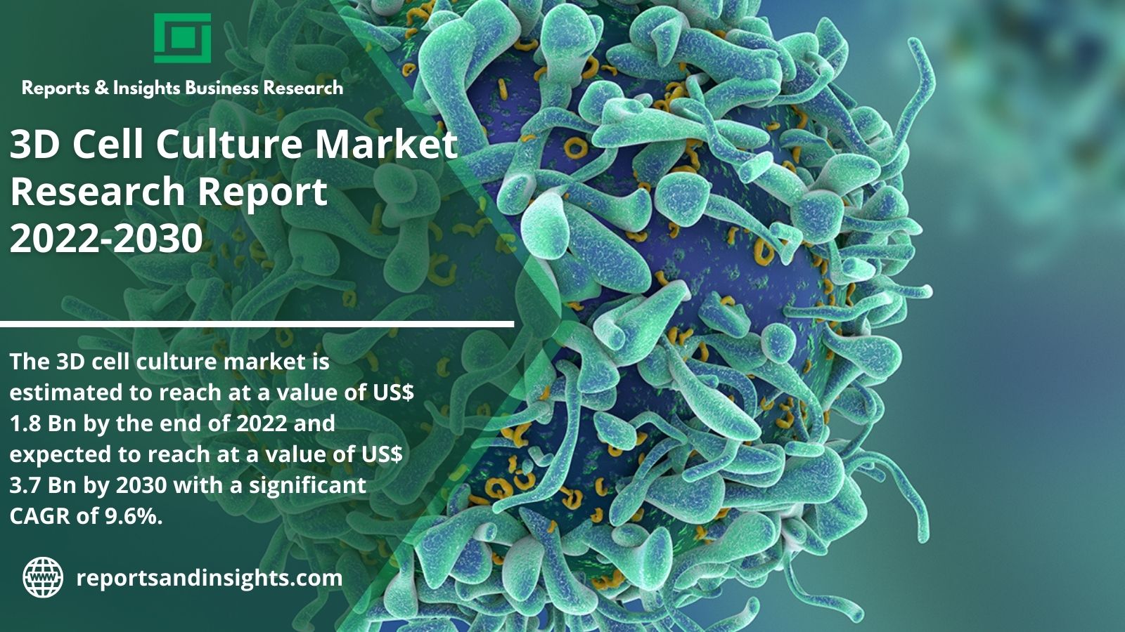 Industry demand on 3D Cell Culture Market Future Analysis, Size, Share, Growth, Trends and Analysis 2030