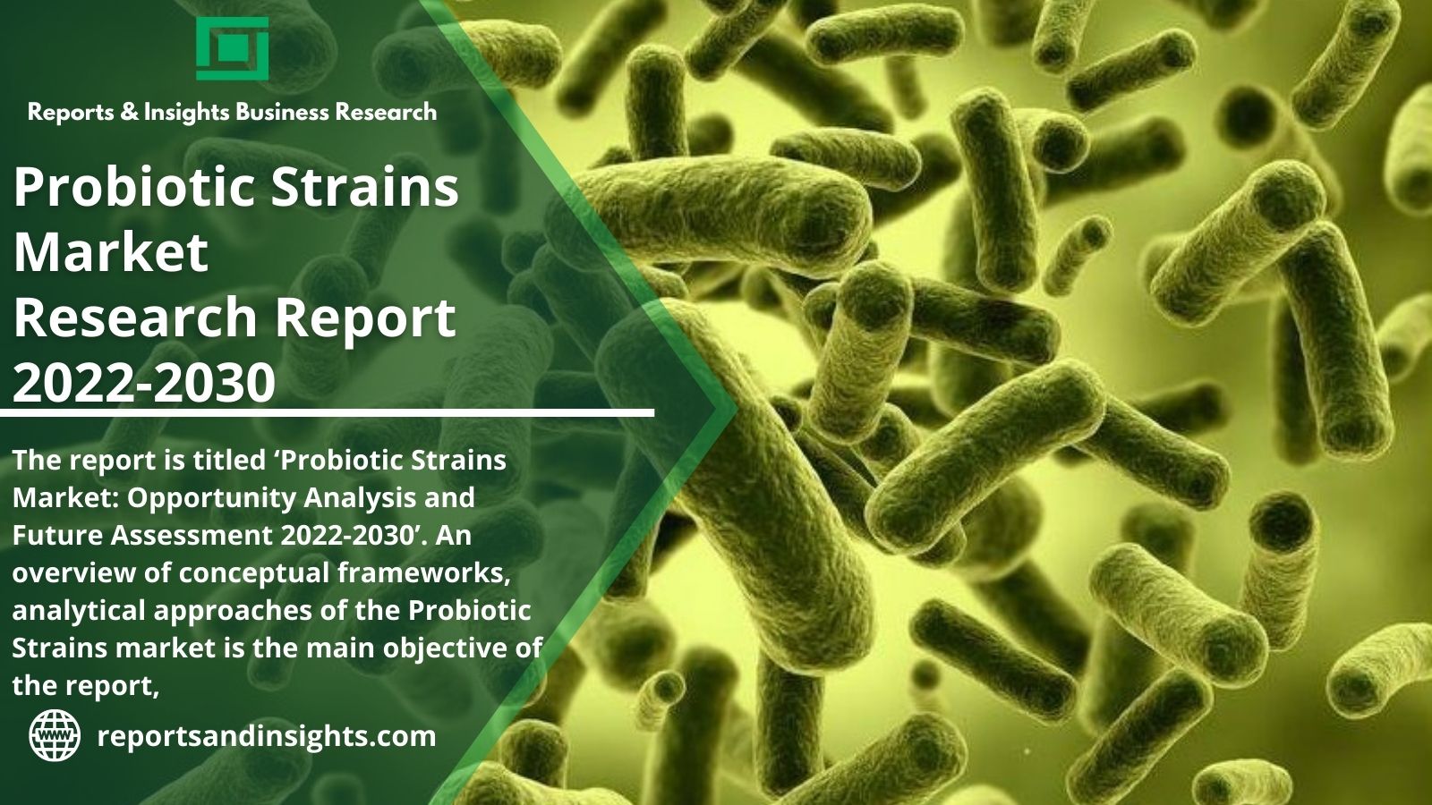 Probiotic Strains Market Poised for Excellent Growth During (2022-2030) | Trends, Industry Demand and Comprehensive Study By Reports and Insights. 