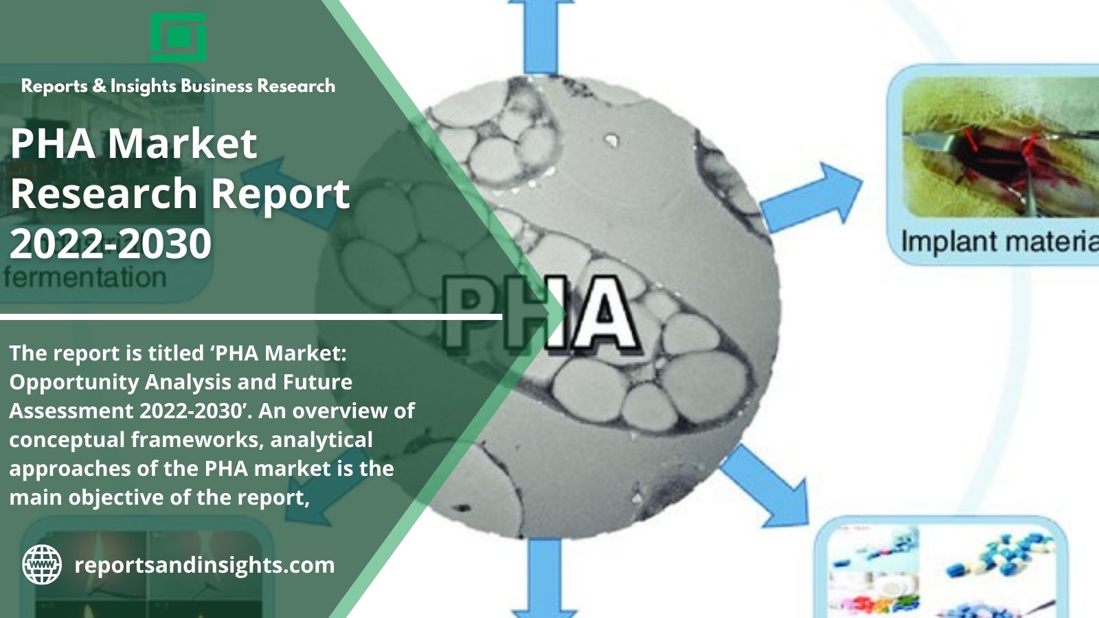 Demand on PHA Market is to be Driven by the Demand for Higher Agricultural Yield in the Forecast Period of 2022-2030: Manufacturing Demand Deceleration by Reports and Insights…