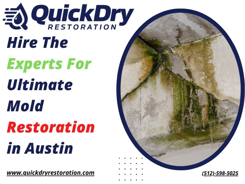 Hire The Experts For Ultimate Mold Restoration in Austin