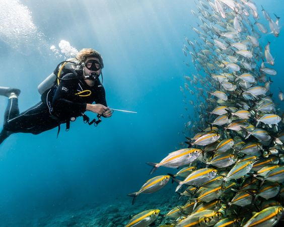 Bali – A Scuba Diving Paradise