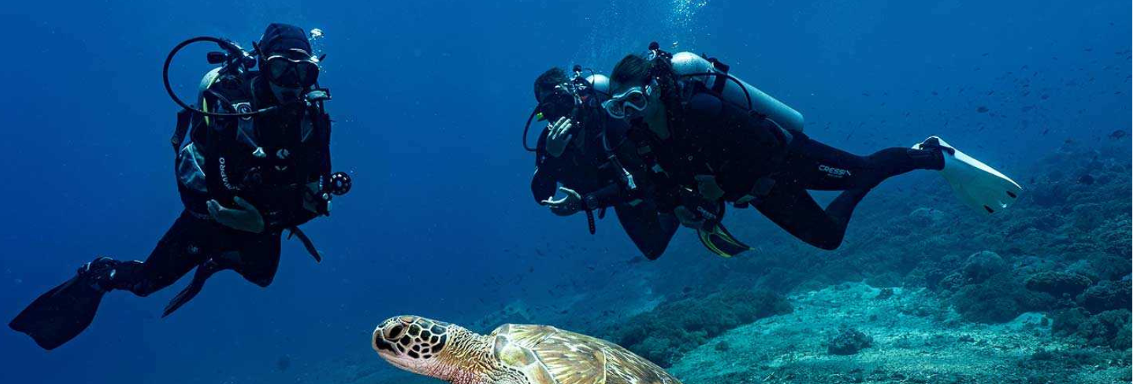 Experience Bali’s Beauty Through Amed Scuba Diving Tours