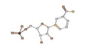 NMN Efficacy: Some of the potential health benefits of NMN 