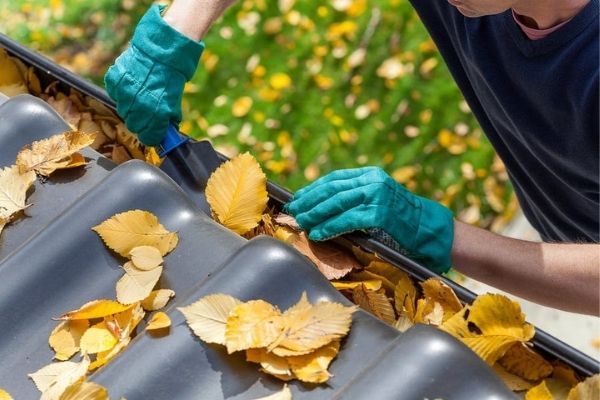 Gutter Cleaning Services in South Shore: Expert Tips to Keep Your Gutters Clean