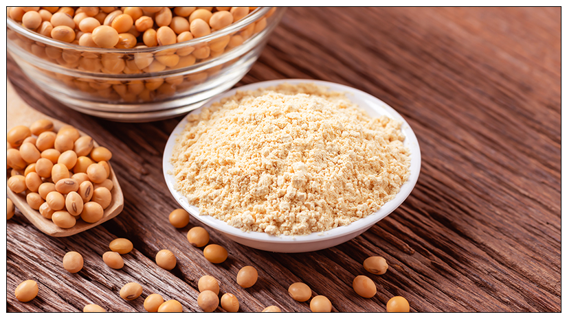 Soy Flour Market Size, Share, Growth Opportunity & Global Forecast to 2028